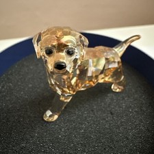 golden retriever puppies for sale golden retriever puppies for sale AYLESBURY