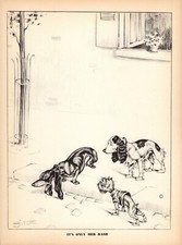 Dachshund brussels griffon for sale  Harborton