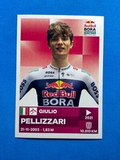 Figurine panini sticker usato  Italia