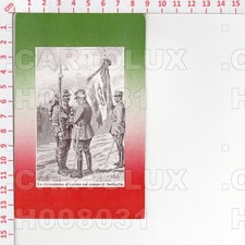 H8031 illustratore polli usato  Como