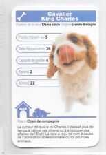 Carte top trumps d'occasion  Nancy-