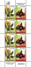 Selos da Albânia 2023. Flora: Ziziphus jujuba. Frutas. Flor. Folha MNH comprar usado  Enviando para Brazil