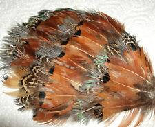 Rarer haarschmuck fascinator gebraucht kaufen  Göttingen