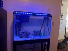 Coralife seascape led for sale  Gold Beach