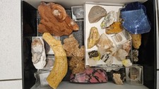 Mineralien fossilien konvolut gebraucht kaufen  Ingelheim am Rhein