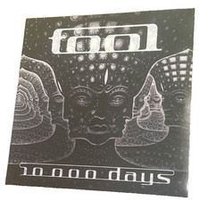 Tool 10 000 usato  Italia