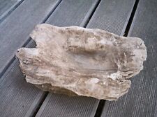Schwemmholz treibholz driftwoo gebraucht kaufen  Nienburg (Saale)