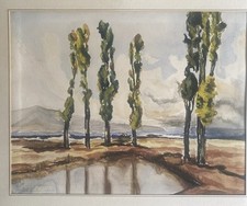 Corse lucien peri d'occasion  Zillisheim