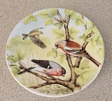 Vintage plate poole for sale  WREXHAM