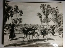 Photo presse djibouti d'occasion  Saint-Ambroix