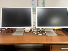 Monitor apple cinema usato  Biassono