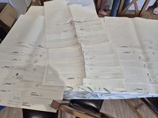 Large collection admiralty for sale  STANFORD-LE-HOPE