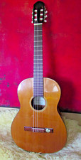 gitarre hellweg gebraucht kaufen gitarre hellweg gebraucht kaufen Detmold