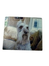 Schnauzer cutting board for sale  Eden Prairie