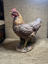 Classic laying chicken for sale  BALLYMONEY