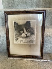 Framed cat limited for sale  RICKMANSWORTH