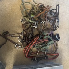 Leather horse halters for sale  Irving