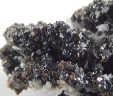 Andradite crystals 3.8 for sale  Bisbee