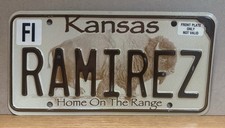 Placa de licença expirada Kansas Buffalo Bison Home On The Range RAMIREZ em relevo comprar usado  Enviando para Brazil