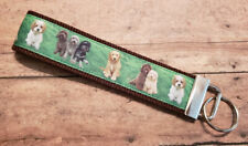 Labradoodle goldendoodle doodl for sale  Goshen