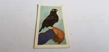 1960 horniman tea for sale  MANSFIELD