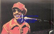 Vintage original stevie for sale  Knoxville