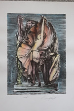 Fuchs ernst lithografie gebraucht kaufen  Veringenstadt