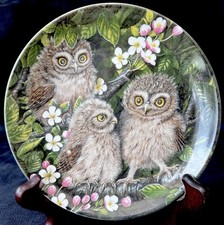 Wedgwood little owl for sale  DISS