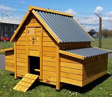 Large eco10002n chicken for sale  UK