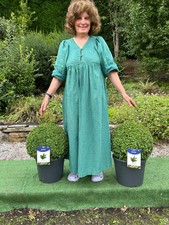 Box balls topiary for sale  MACCLESFIELD