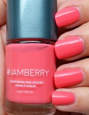 Jamberry professional nail for sale  Wooster