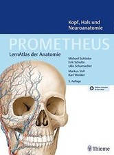 Prometheus kopf hals gebraucht kaufen  Berlin