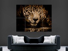Jaguar cat poster for sale  BOURNEMOUTH