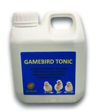 Game bird pigeon for sale  CREWE