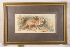 Cash red fox for sale  CAMELFORD