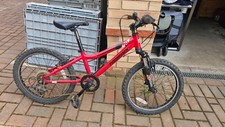 Ridgeback dimension kids for sale  SHEFFIELD