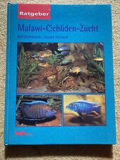 Malawi cichliden zucht gebraucht kaufen  Wittichenau