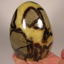 4.1 septarian polished for sale  Acworth