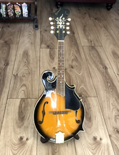 Richwood mandolin style for sale  IBSTOCK