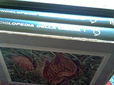 Enciclopedia della caccia usato  Marano sul Panaro