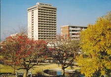 Kalahari sands hotel gebraucht kaufen  Giengen an der Brenz