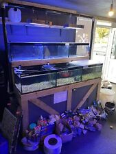 Fish tank racking for sale  LINCOLN