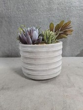 6.5 vibrant assorted for sale  League City