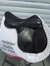 Inch thorowgood pony for sale  DONCASTER
