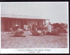 1984 senegal douk d'occasion  Les Sables-d'Olonne