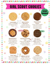 2025 girl scout for sale  Biddle