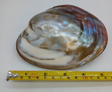 Mother pearl polished for sale  MIRFIELD