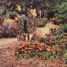 California postcard encinitas for sale  Portland