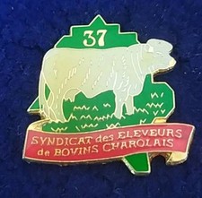 Rare pine agriculture d'occasion  Expédié en Belgium