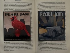 Pearl jam dark for sale  Hamlin